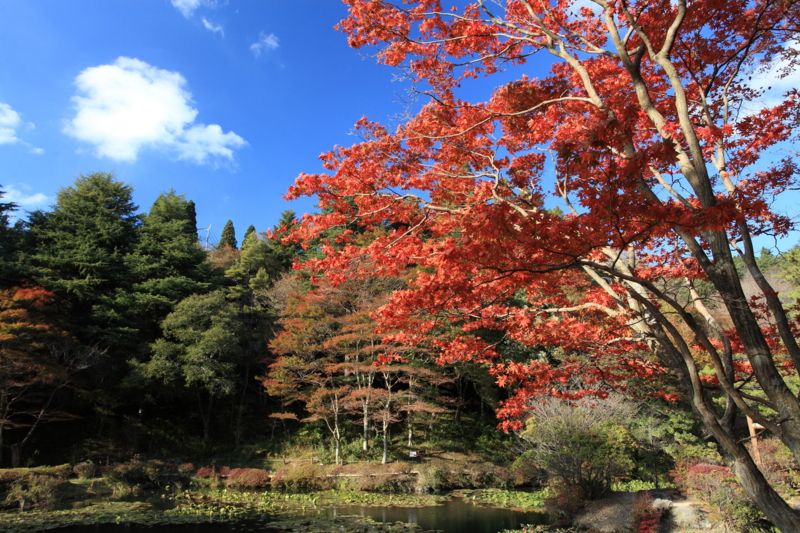 f:id:hiroshisj:20121108213602j:image