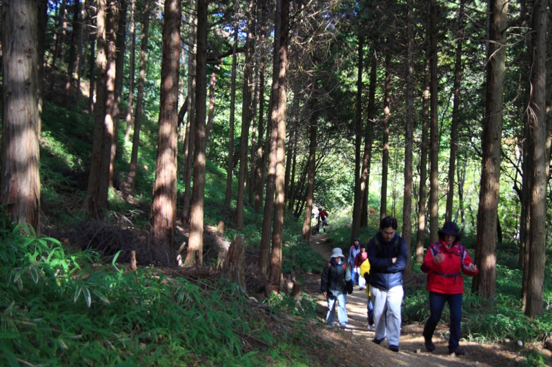 f:id:hiroshisj:20121110195457j:image