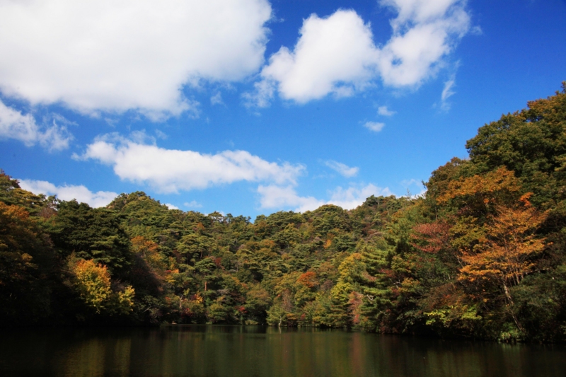 f:id:hiroshisj:20121110195601j:image