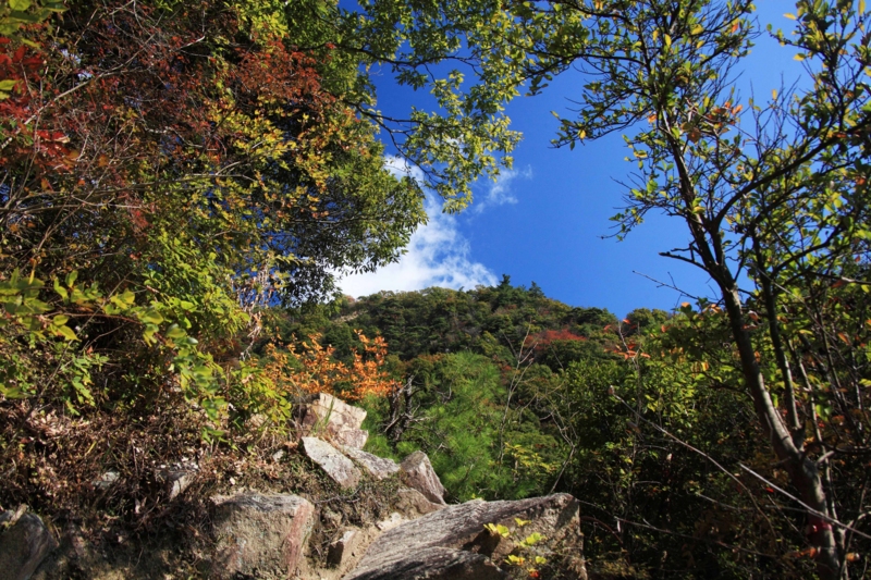 f:id:hiroshisj:20121110195645j:image