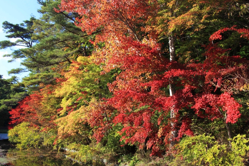 f:id:hiroshisj:20121112170556j:image f:id:hiroshisj:20121112170556j:image