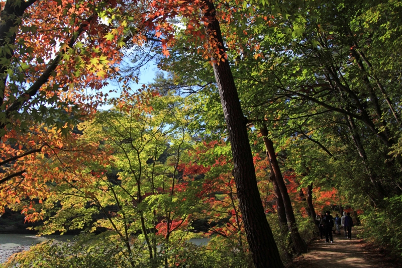 f:id:hiroshisj:20121112170821j:image f:id:hiroshisj:20121112170821j:image