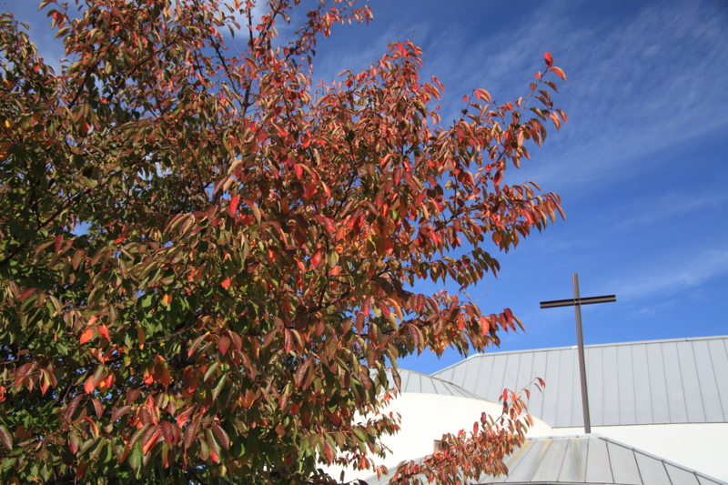 f:id:hiroshisj:20121114172839j:image