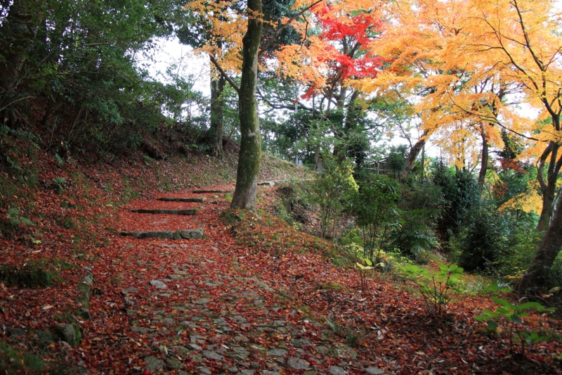 f:id:hiroshisj:20121119090327j:image