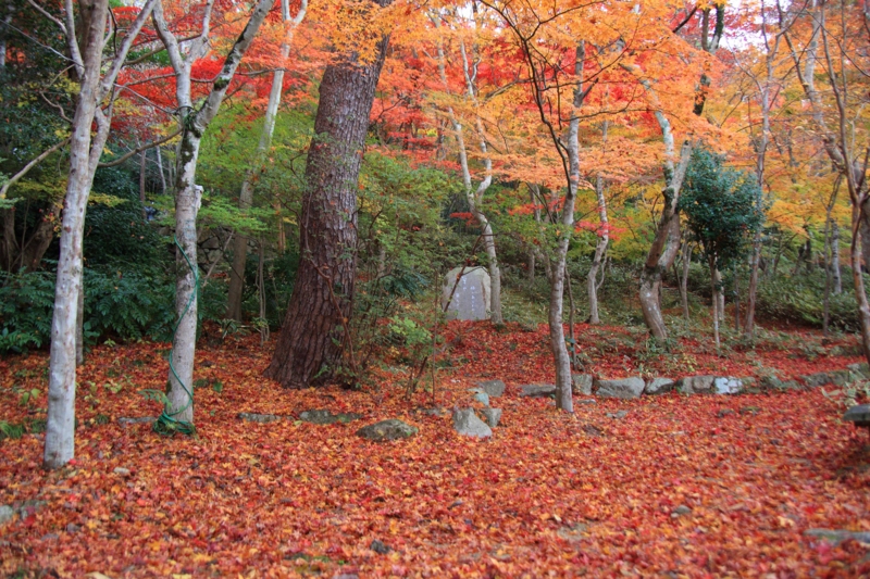 f:id:hiroshisj:20121119090408j:image