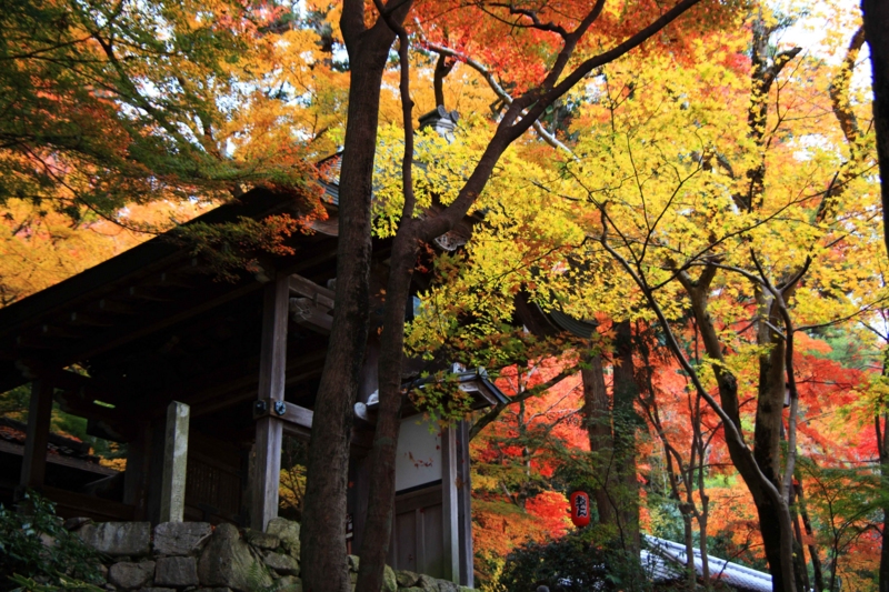 f:id:hiroshisj:20121119090451j:image