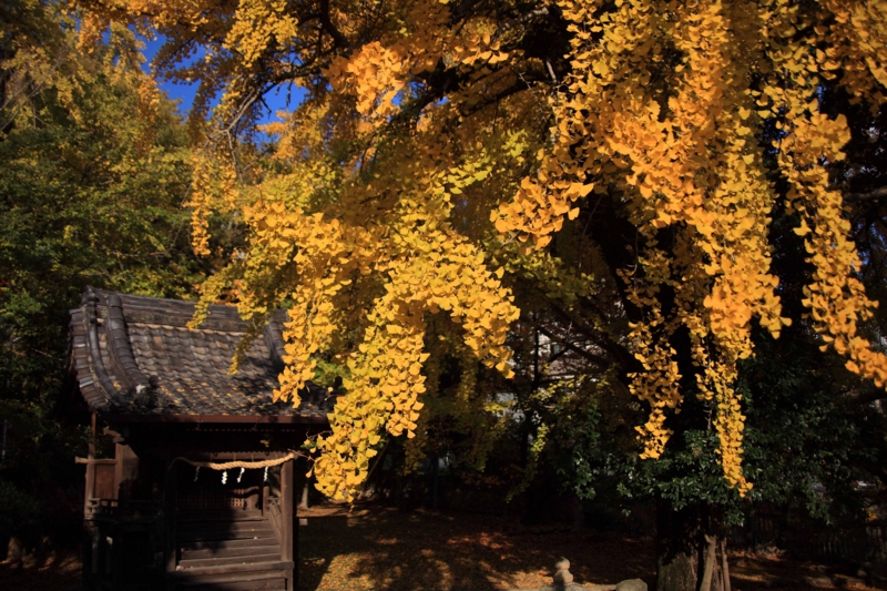 f:id:hiroshisj:20121124203409j:image f:id:hiroshisj:20121124203409j:image