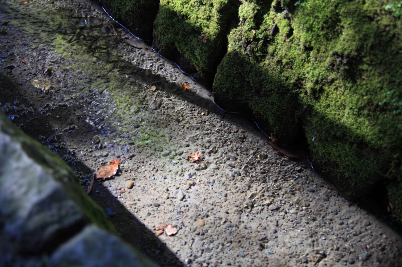 f:id:hiroshisj:20121228161139j:image f:id:hiroshisj:20121228161139j:image