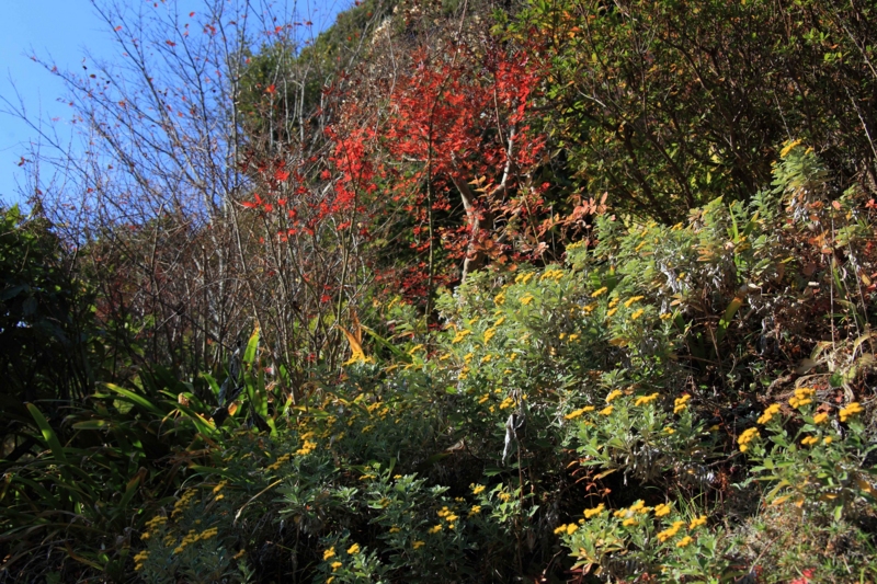 f:id:hiroshisj:20121228161200j:image f:id:hiroshisj:20121228161200j:image