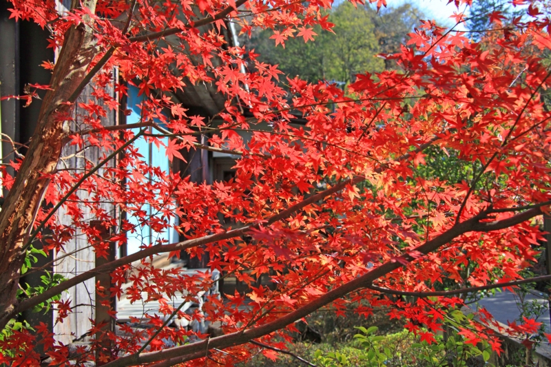f:id:hiroshisj:20121228161244j:image f:id:hiroshisj:20121228161244j:image