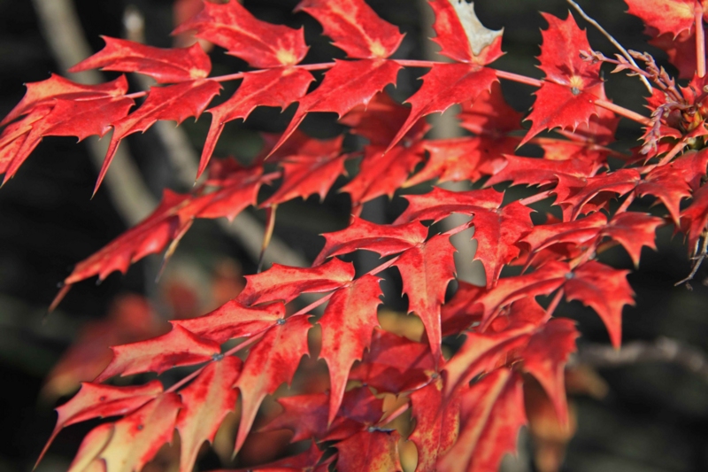 f:id:hiroshisj:20121228161329j:image f:id:hiroshisj:20121228161329j:image