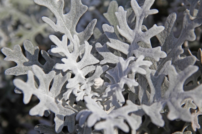 f:id:hiroshisj:20121228162307j:image f:id:hiroshisj:20121228162307j:image