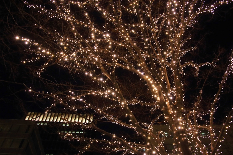 f:id:hiroshisj:20130115172152j:image
