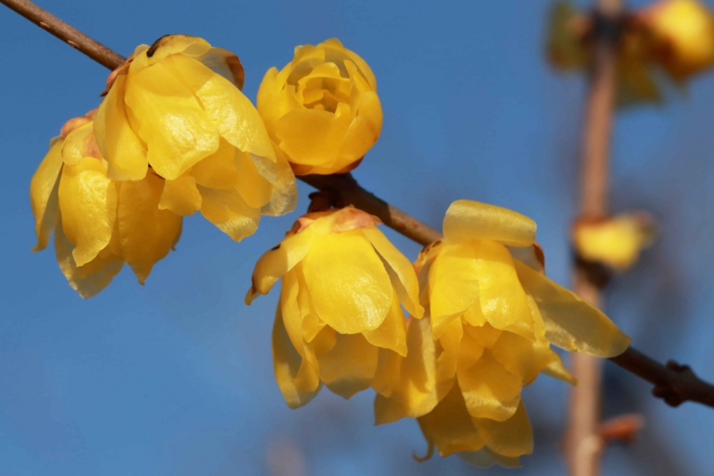 f:id:hiroshisj:20130121202920j:image