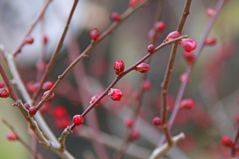 f:id:hiroshisj:20130125175642j:image