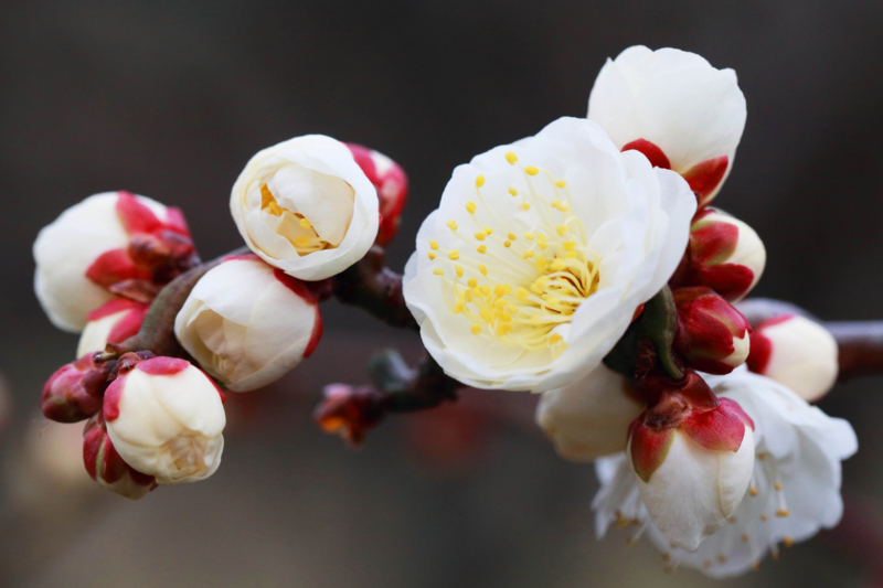 f:id:hiroshisj:20130125175705j:image