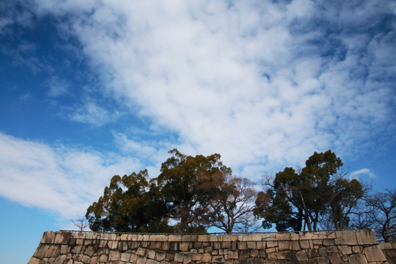 f:id:hiroshisj:20130126182059j:image