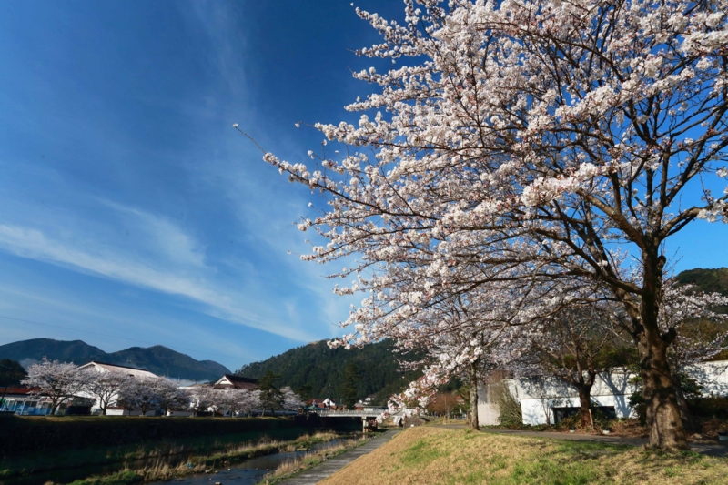 f:id:hiroshisj:20130403230305j:image