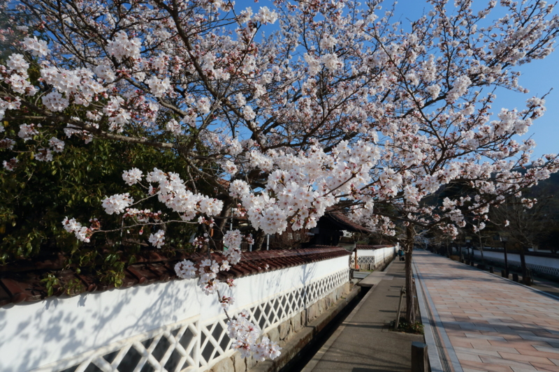 f:id:hiroshisj:20130403230328j:image