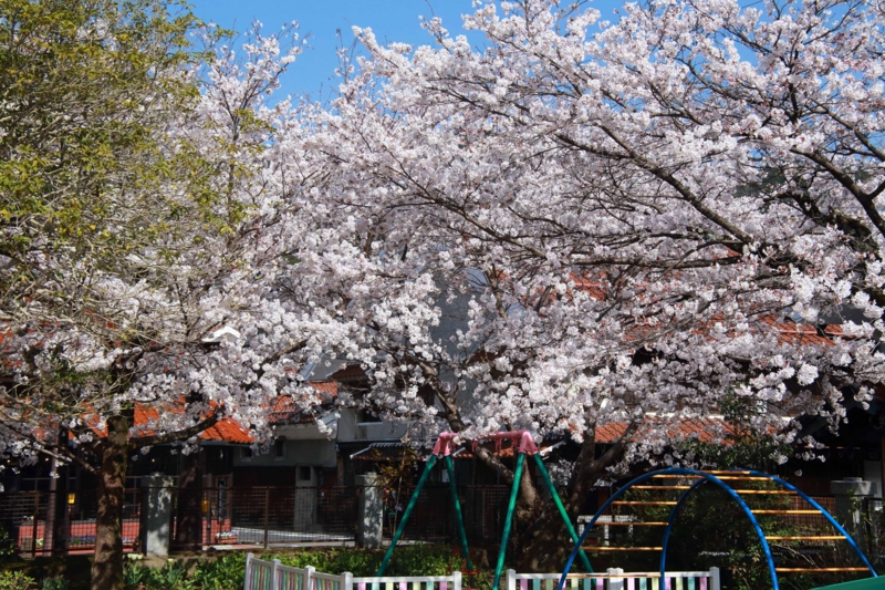 f:id:hiroshisj:20130403230352j:image