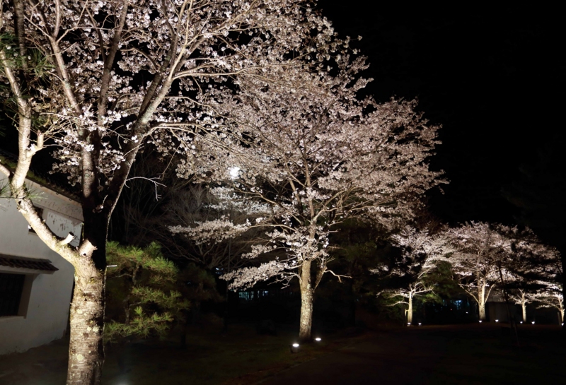 f:id:hiroshisj:20130403230438j:image