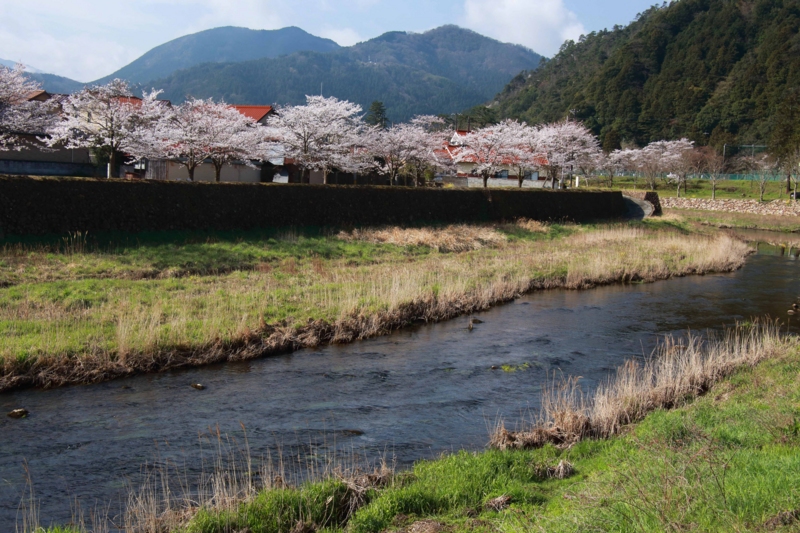 f:id:hiroshisj:20130403233508j:image