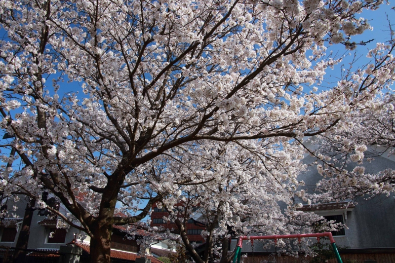 f:id:hiroshisj:20130405170715j:image