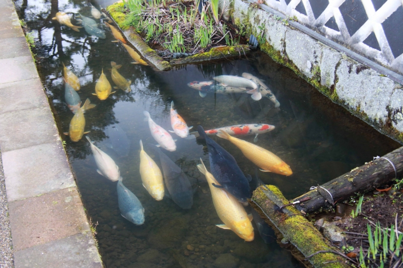 f:id:hiroshisj:20130405172030j:image