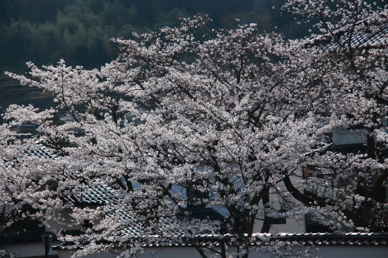 f:id:hiroshisj:20130405172132j:image