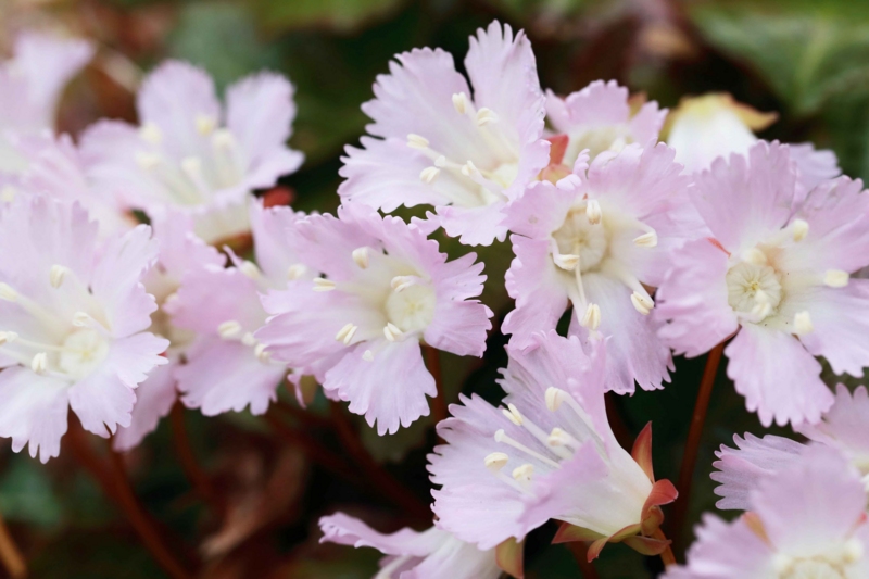 f:id:hiroshisj:20130412180229j:image