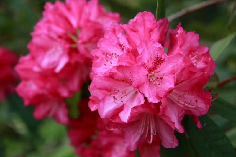 f:id:hiroshisj:20130412180358j:image
