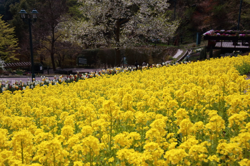 f:id:hiroshisj:20130412180459j:image