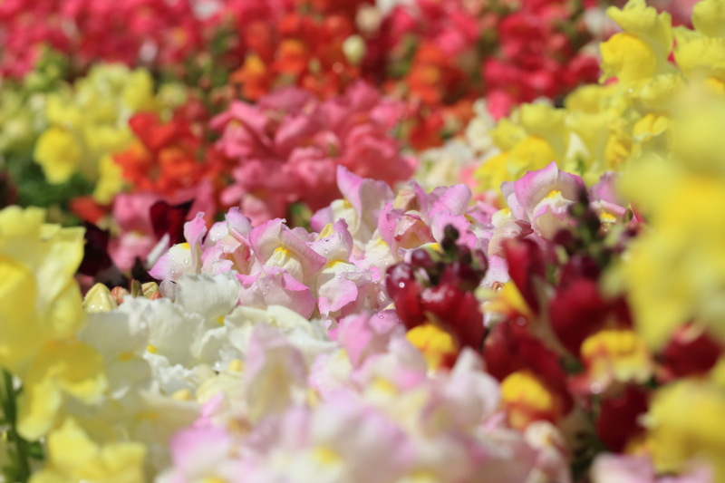 f:id:hiroshisj:20130416180912j:image