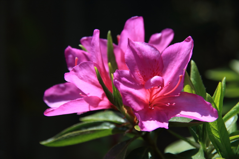 f:id:hiroshisj:20130416180955j:image