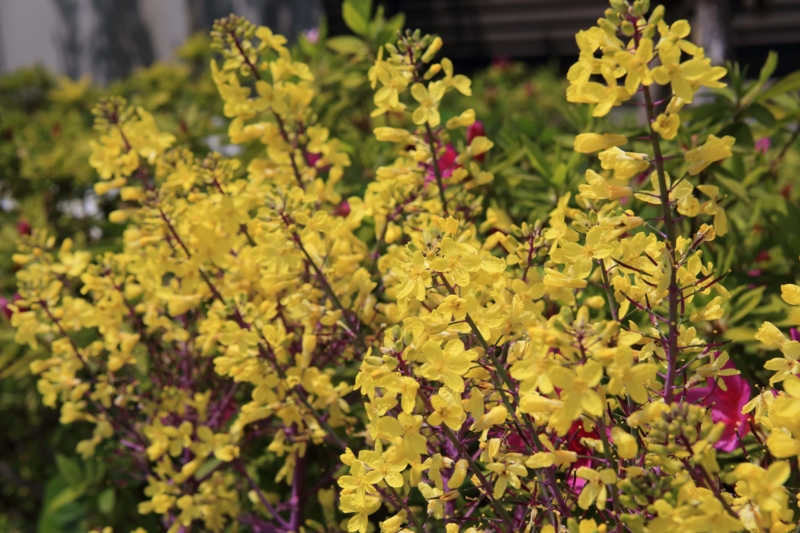 f:id:hiroshisj:20130416181037j:image
