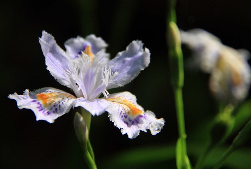 f:id:hiroshisj:20130416181057j:image