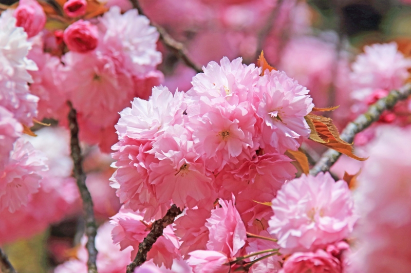 f:id:hiroshisj:20130416181203j:image
