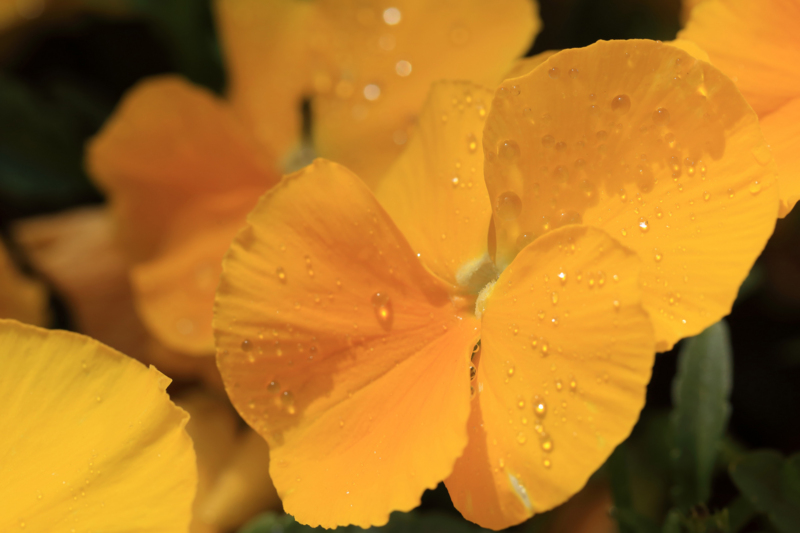 f:id:hiroshisj:20130416201442j:image