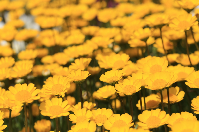 f:id:hiroshisj:20130416201504j:image