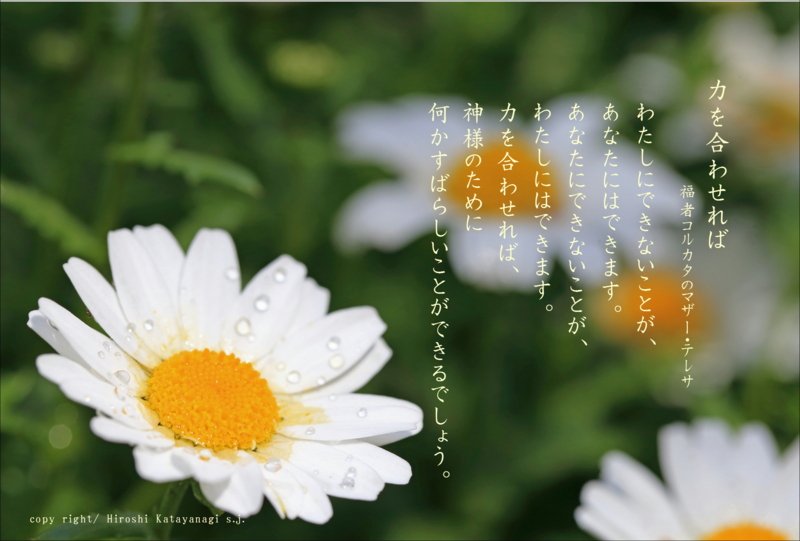 f:id:hiroshisj:20130417174412j:image