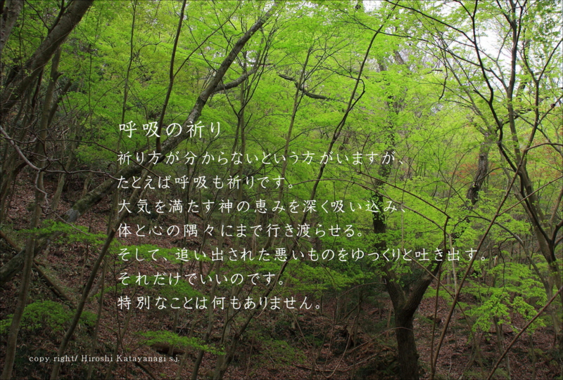 f:id:hiroshisj:20130427190929j:image