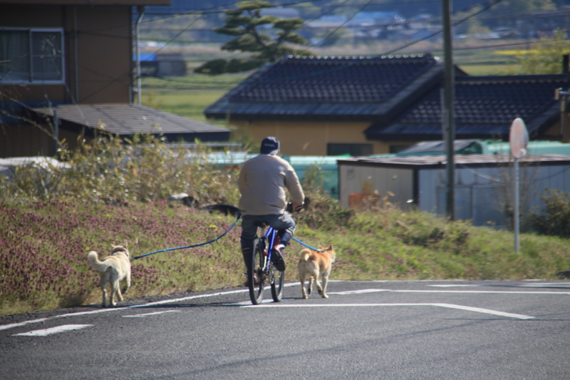 f:id:hiroshisj:20130505180808j:image f:id:hiroshisj:20130505180808j:image