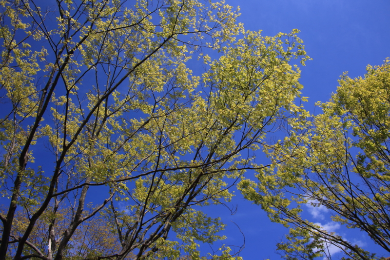 f:id:hiroshisj:20130506173115j:image f:id:hiroshisj:20130506173115j:image