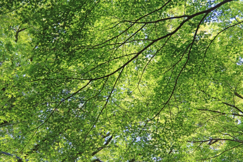 f:id:hiroshisj:20130511193929j:image f:id:hiroshisj:20130511193929j:image