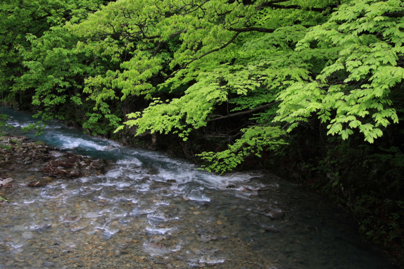 f:id:hiroshisj:20130521174034j:image f:id:hiroshisj:20130521174034j:image