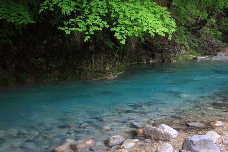 f:id:hiroshisj:20130521174055j:image f:id:hiroshisj:20130521174055j:image