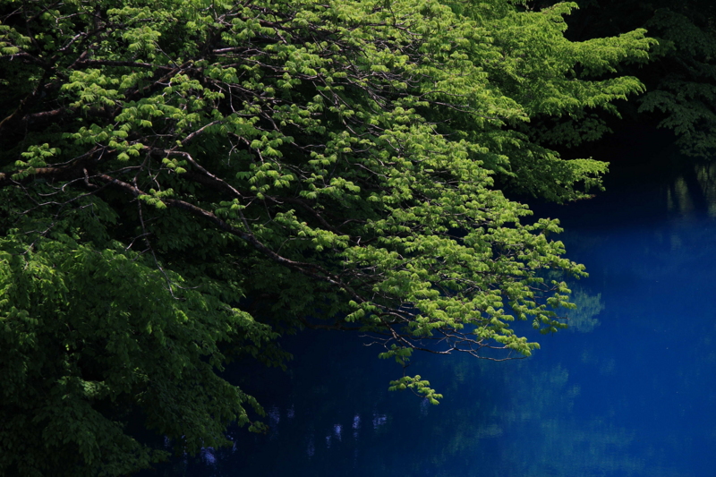 f:id:hiroshisj:20130521174152j:image f:id:hiroshisj:20130521174152j:image