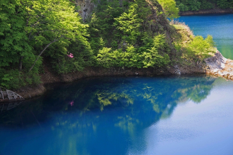 f:id:hiroshisj:20130521174327j:image f:id:hiroshisj:20130521174327j:image