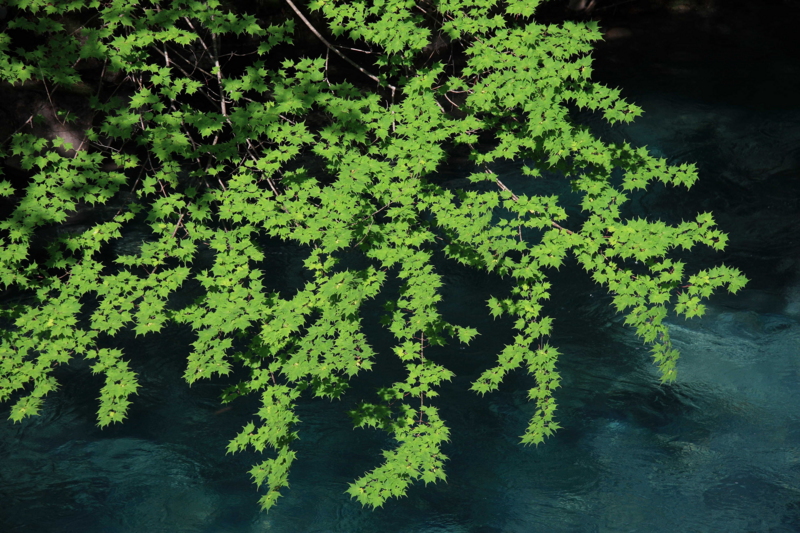 f:id:hiroshisj:20130521174339j:image f:id:hiroshisj:20130521174339j:image