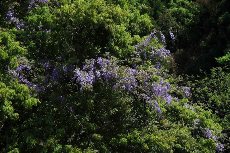 f:id:hiroshisj:20130521174351j:image f:id:hiroshisj:20130521174351j:image
